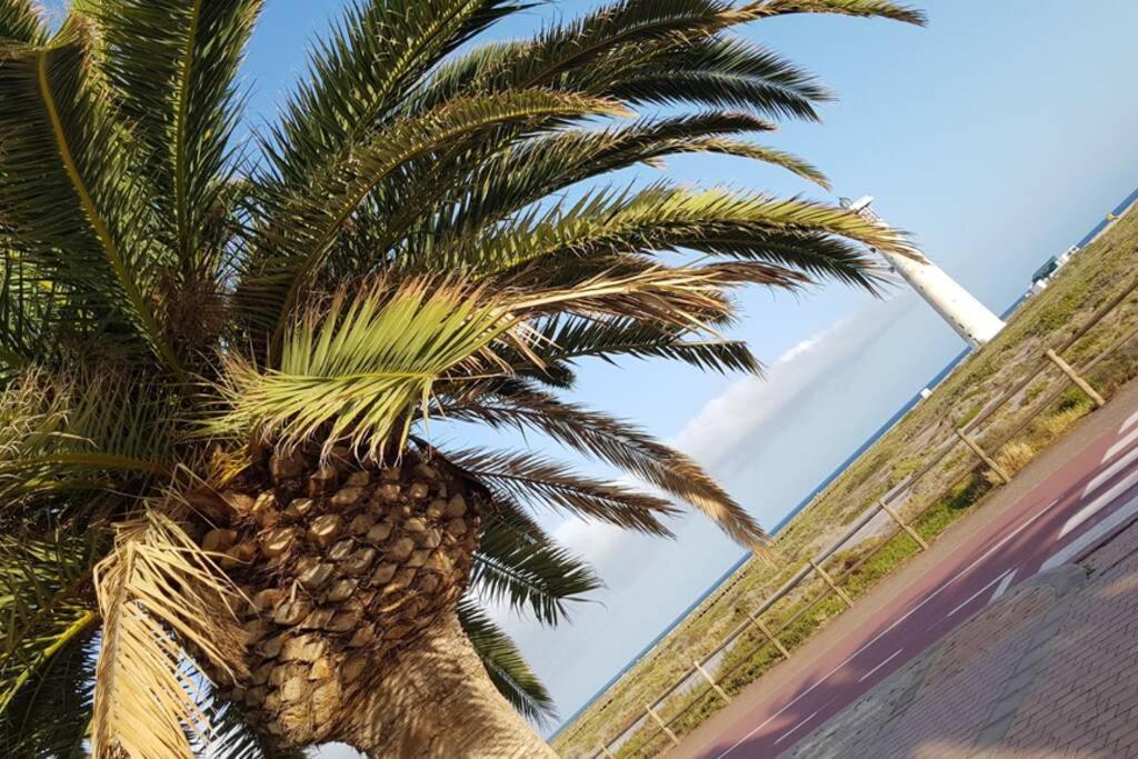 Front Beach Jandia Apartment モロ・デル・ハブレ エクステリア 写真